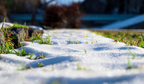 青森市の皆様へ｜「ブログ開設のお知らせ」